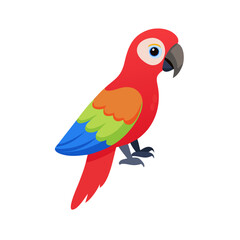 Parrot: The Colorful Birds of the Tropics
