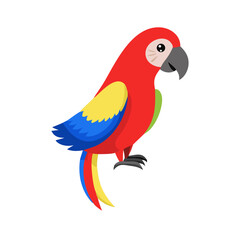 Parrot: The Colorful Birds of the Tropics