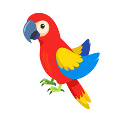 Parrot: The Colorful Birds of the Tropics