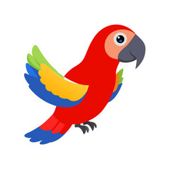Parrot: The Colorful Birds of the Tropics