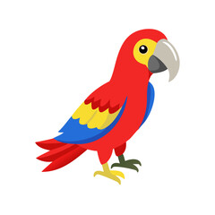 Parrot: The Colorful Birds of the Tropics