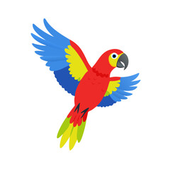 Parrot: The Colorful Birds of the Tropics