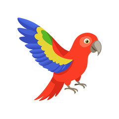 Parrot: The Colorful Birds of the Tropics