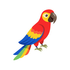 Parrot: The Colorful Birds of the Tropics