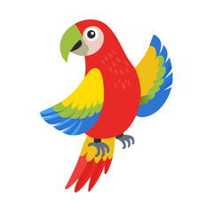 Parrot: The Colorful Birds of the Tropics