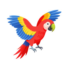 Parrot: The Colorful Birds of the Tropics