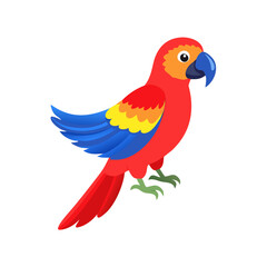 Parrot: The Colorful Birds of the Tropics
