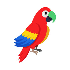 Parrot: The Colorful Birds of the Tropics