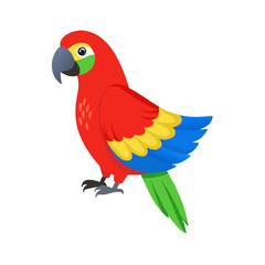 Parrot: The Colorful Birds of the Tropics