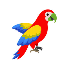 Parrot: The Colorful Birds of the Tropics