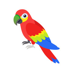 Parrot: The Colorful Birds of the Tropics