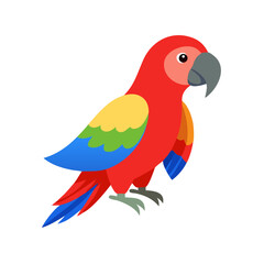 Parrot: The Colorful Birds of the Tropics