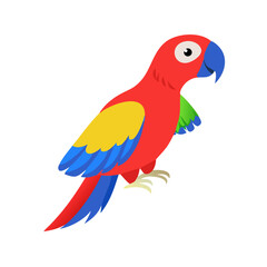 Parrot: The Colorful Birds of the Tropics