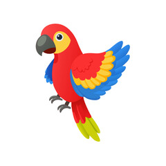 Parrot: The Colorful Birds of the Tropics