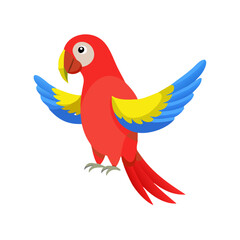 Parrot: The Colorful Birds of the Tropics