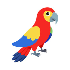 Parrot: The Colorful Birds of the Tropics
