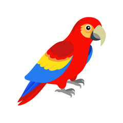 Parrot: The Colorful Birds of the Tropics