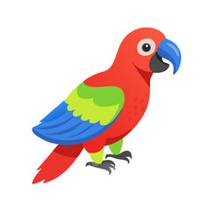 Parrot: The Colorful Birds of the Tropics