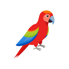 Parrot: The Colorful Birds of the Tropics