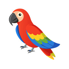 Parrot: The Colorful Birds of the Tropics