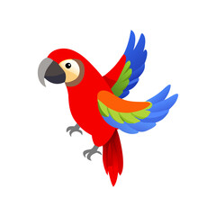 Parrot: The Colorful Birds of the Tropics
