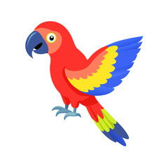 Parrot: The Colorful Birds of the Tropics