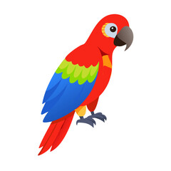 Parrot: The Colorful Birds of the Tropics