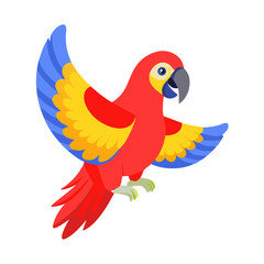 Parrot: The Colorful Birds of the Tropics