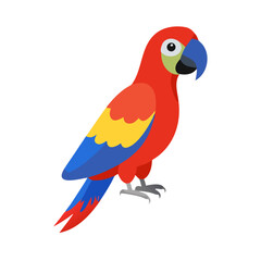 Parrot: The Colorful Birds of the Tropics
