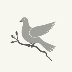 Fototapeta premium Dove Carrying Olive Branch Symbolizes Peace