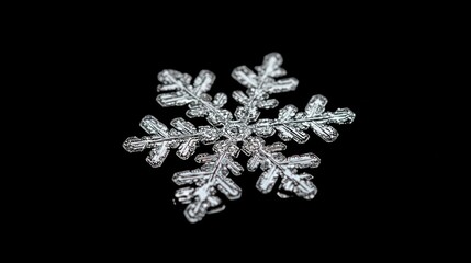 Fototapeta premium Macro photo of a detailed snowflake with intricate, crystalline structure.