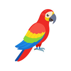 Parrot: The Colorful Birds of the Tropics