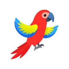 Parrot: The Colorful Birds of the Tropics