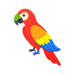 Parrot: The Colorful Birds of the Tropics