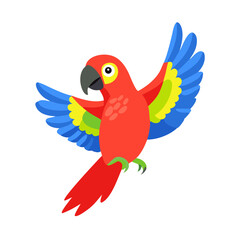 Parrot: The Colorful Birds of the Tropics