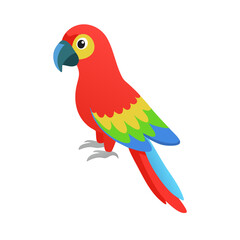 Parrot: The Colorful Birds of the Tropics