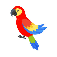 Parrot: The Colorful Birds of the Tropics