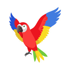 Parrot: The Colorful Birds of the Tropics