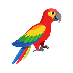 Parrot: The Colorful Birds of the Tropics