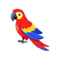 Parrot: The Colorful Birds of the Tropics