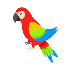 Parrot: The Colorful Birds of the Tropics