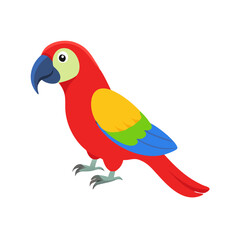 Parrot: The Colorful Birds of the Tropics
