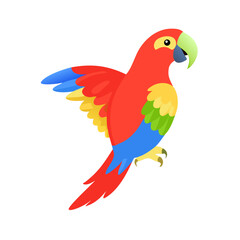 Parrot: The Colorful Birds of the Tropics