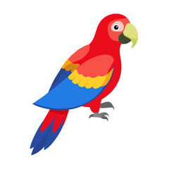 Parrot: The Colorful Birds of the Tropics