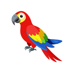 Parrot: The Colorful Birds of the Tropics