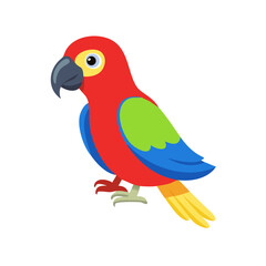 Parrot: The Colorful Birds of the Tropics