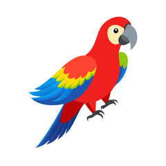 Parrot: The Colorful Birds of the Tropics