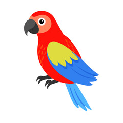 Parrot: The Colorful Birds of the Tropics