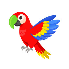 Parrot: The Colorful Birds of the Tropics