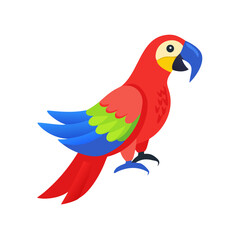 Parrot: The Colorful Birds of the Tropics